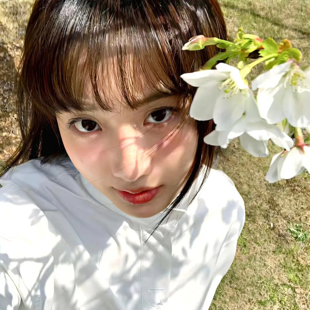 阁楼里的花：恶之渊源